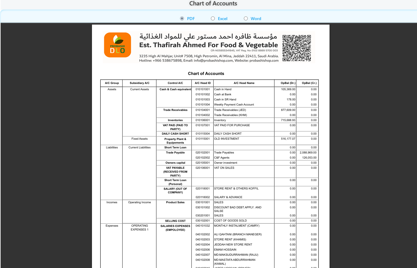 Chart of Accounts Template