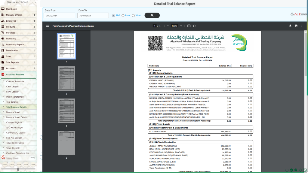 Detailed Balance Sheet in ALZERP Cloud ERP Software