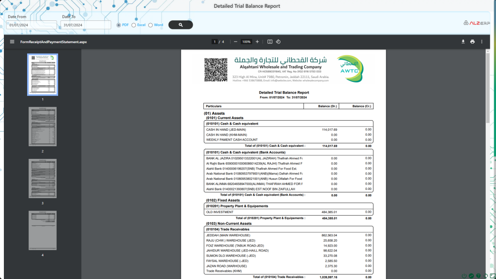 Detailed Balance Sheet in ALZERP Cloud ERP Software